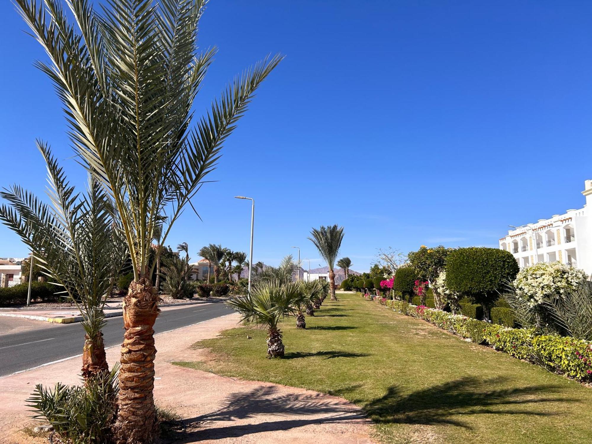 Cosy Studio On The First Floor With Lovely Terrace And Personal Garden Area, Pool View And Free Beach Access In Sharm Hills Resort Екстер'єр фото